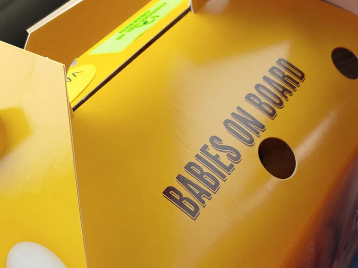 We have our first&nbsp;livestock!!!